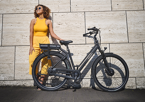 Ebike Brinckers Boston